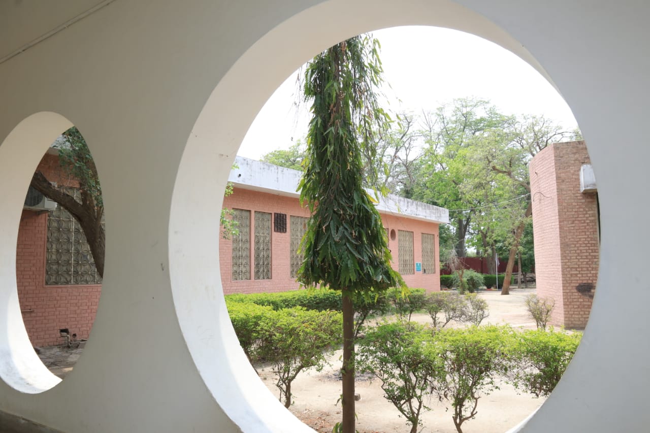 College Gallery Image